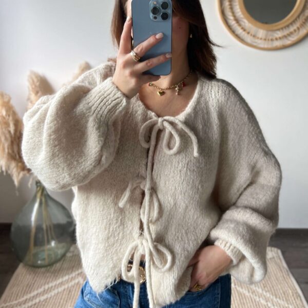 Pull automne/hiver boutique femme, vêtement femme dole